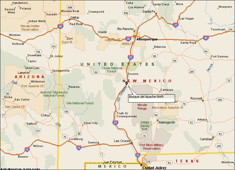 New Mexico, United States, North America